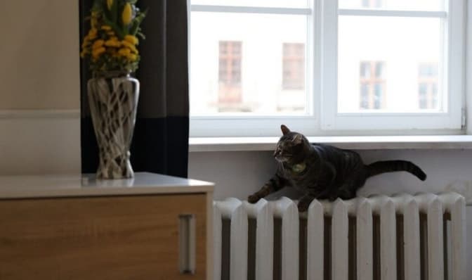 Фото: Роман Балук