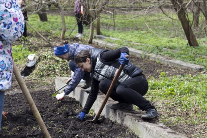 Нове життя розсадника у парку «Залізна вода», або Для чого у Львові міський сад-город