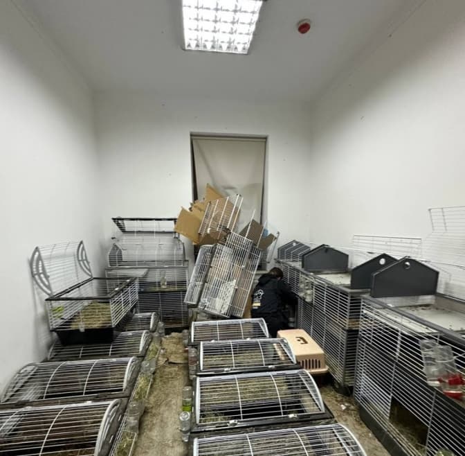 Фото: Домівка врятованих тварин