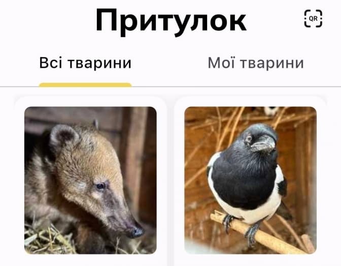 Львівська «Домівка врятованих тварин» створила «кишеньковий притулок». Як працює