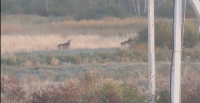 Фото: Любомир Зубач