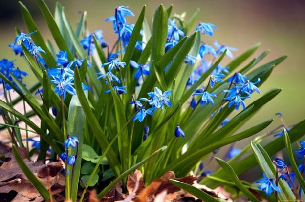 фото: poetryclub.com.ua