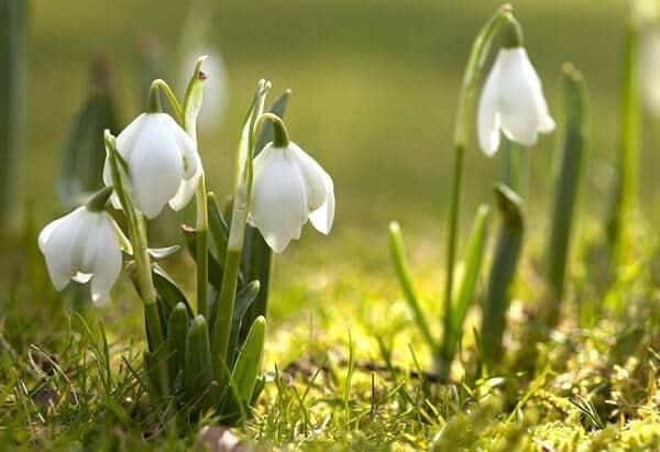 фото умовне