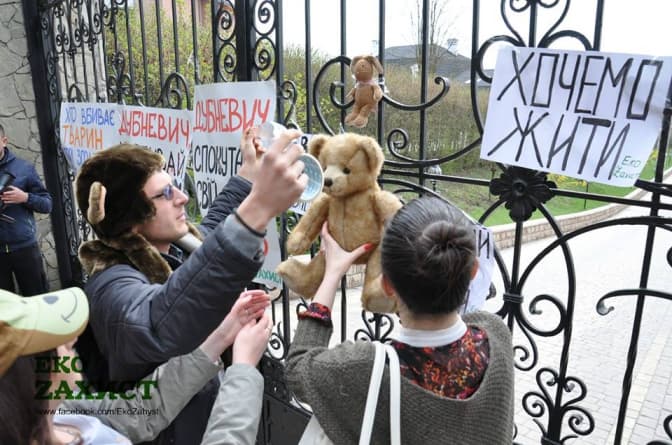 Як львівські зоозахисники пікетували нардепа. Фото