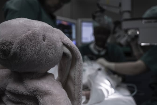 Photo by Piron Guillaume on Unsplash