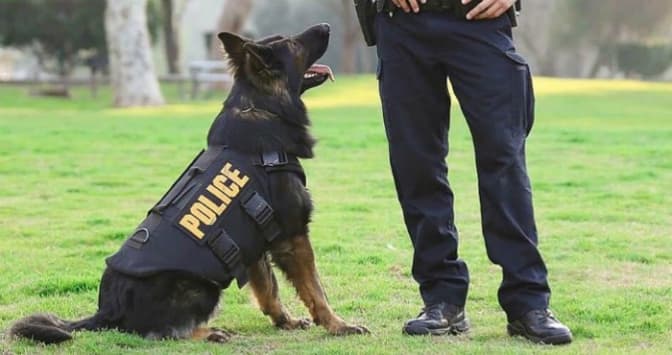фото з відкритих джерел
