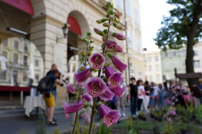 У Львові з'явилася клумба «нової хвилі». Фотофакт