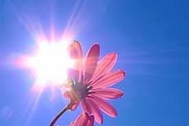 Завтра у Львові прогнозують спекотну погоду