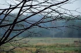 Завтра у Львові буде тепло і дощитиме