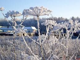 Холодна погода протримається у Львові до кінця тижня