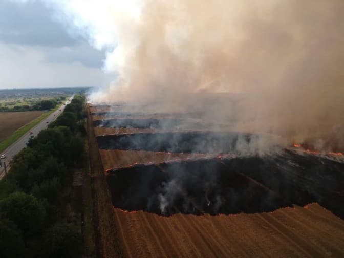 На Львівщині палають поля. Фото
