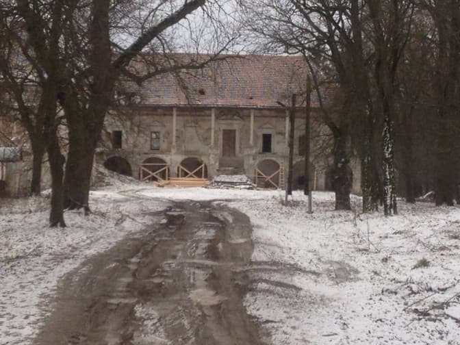 На Львівщині рятують напівзруйнований Поморянський замок. Фото