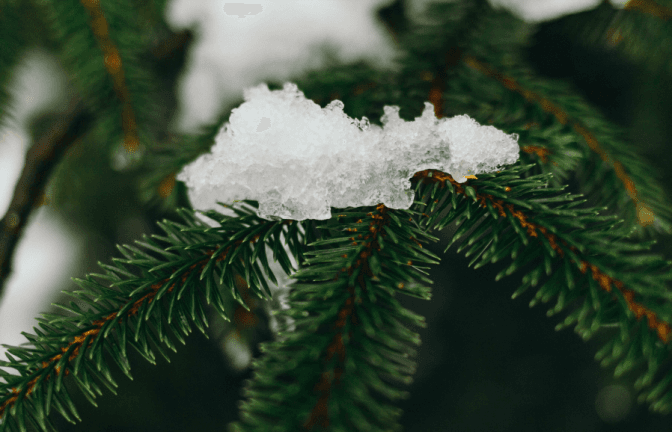 Photo by Al Elmes on Unsplash