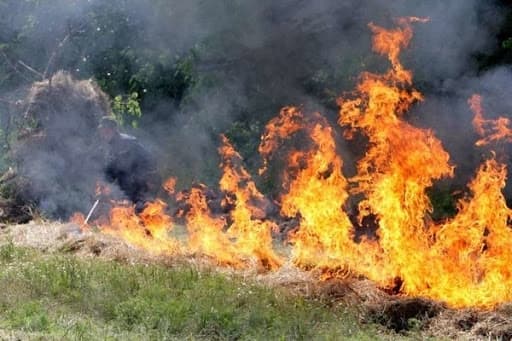 У Львові біля ТЕЦ-1 влаштували пожежу сухої трави