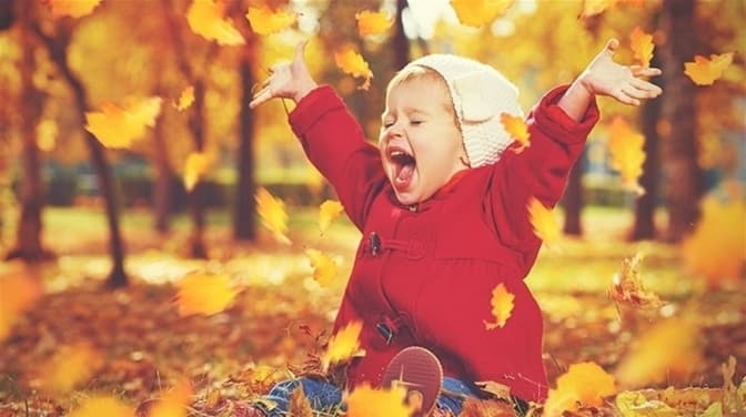 Фото: з відкритих джерел