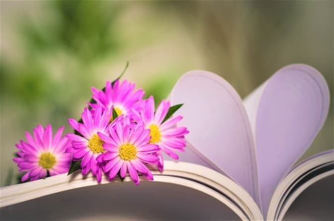 Форум видавців 2020. Підбірка подій, присвячених жінкам в літературі