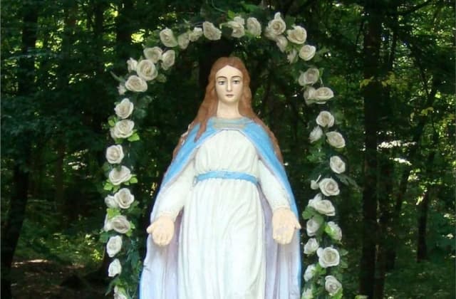 фото: галінфо