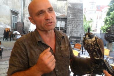 У Львові створили притулок для хижих птахів