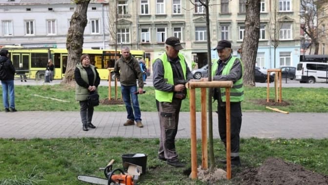 У Львові цієї осені висадять більше 600 дерев і кущів