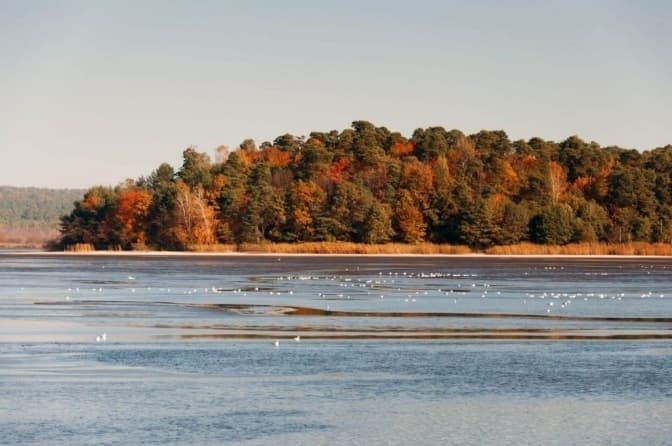 Найпопулярніші локації Львівщини за серпень. Перелік місць