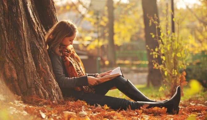 Фото: novelheartbeat.com