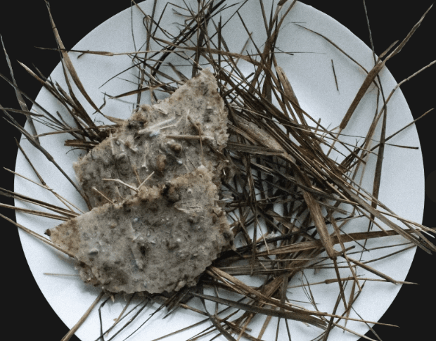 Фото: Українська академія лідерства