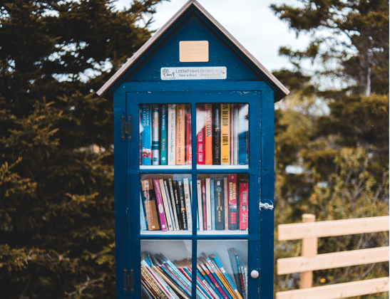 Photo by Erik Mclean on Unsplash