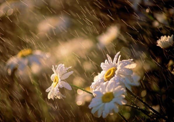 На вихідні у Львові дощитиме