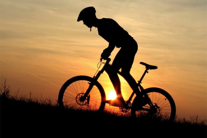 фото: levart.com.my