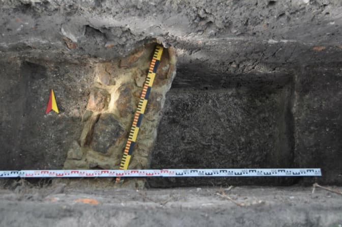 Фото: прес-служба РАС