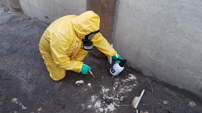 Фото: ГУ ДСНС України у Львівській області