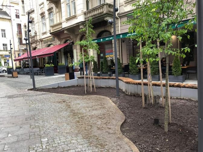 На вулиці Руданського у Львові понищили клумби з екзотичними багаторічниками