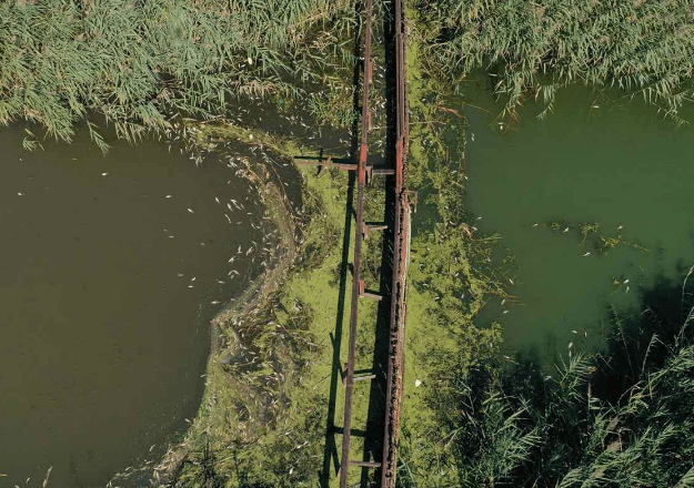 Фото: екоінспекція