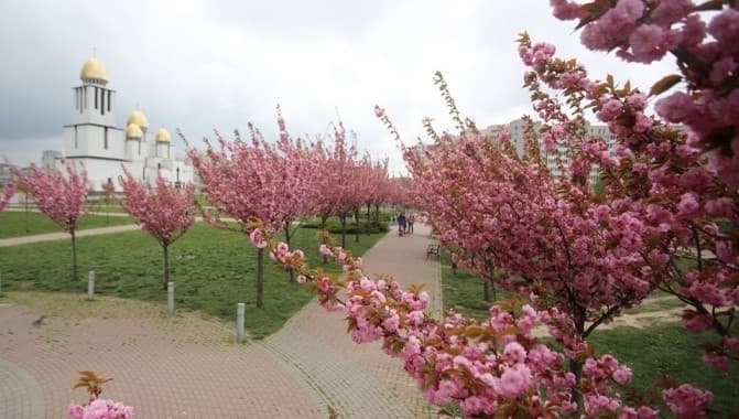 фото христини процак