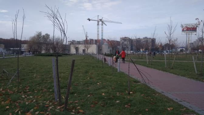 Фото: Юрій Свуш