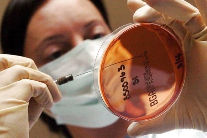 Фото з відкритих джерел