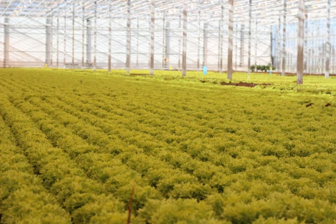 фото: прес-служба Львівської ОДА