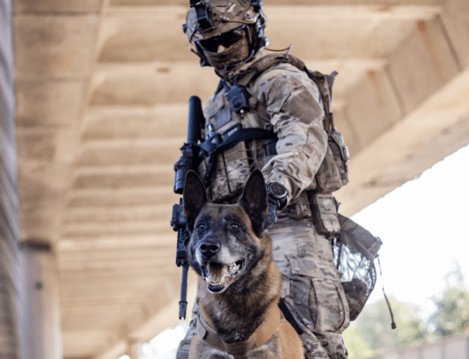 На Львівщині торік СБУ викрила 64 хабарники. «Погоріли» митники і депутати