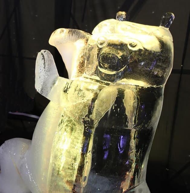 Фото: Євген Кравс