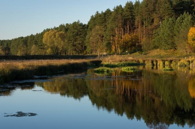 фото: karpaty.rocks