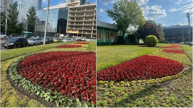 Фото: КП УЗН Голосіївського району / Facebook