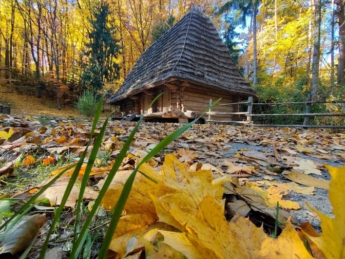 Фото: Шевченківський гай