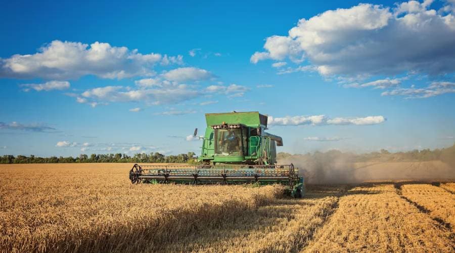 Ілюстративне фото