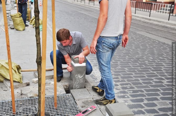 Японські вишні на Городоцькій захистять бетонними стовпцями