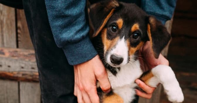 Фото: Рубрика