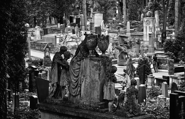 Львів’янин показав Личаківське кладовище із висоти пташиного польоту. Відео