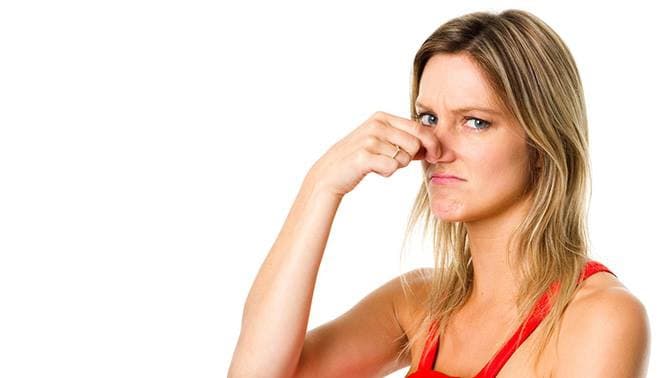 Фото: gizmodo.com