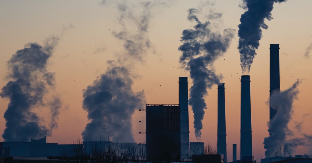 Ілюстративне фото / zero waste alliance