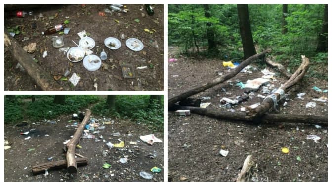 Купи сміття у парках Львова: як реагувати та як карати винуватців?