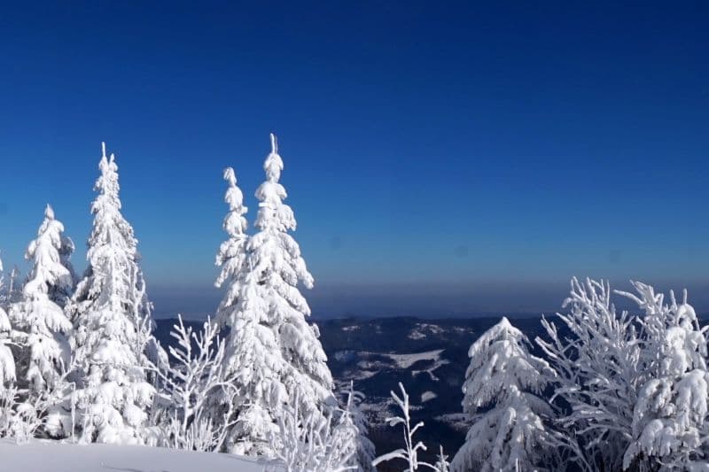 Фото: igotoworld